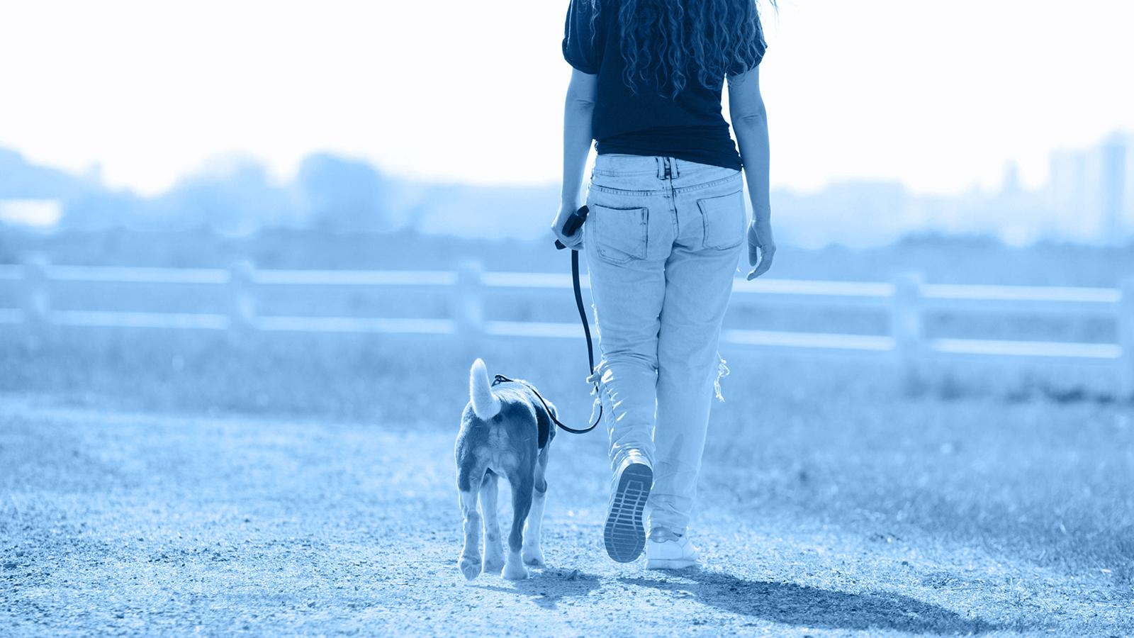 Junge Frau geht mit Ihrem angeleinten Hund spazieren